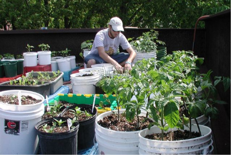 glb_rooftop_garden